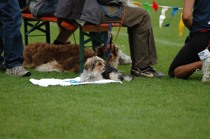 Image 831 of 855  -  218 kB