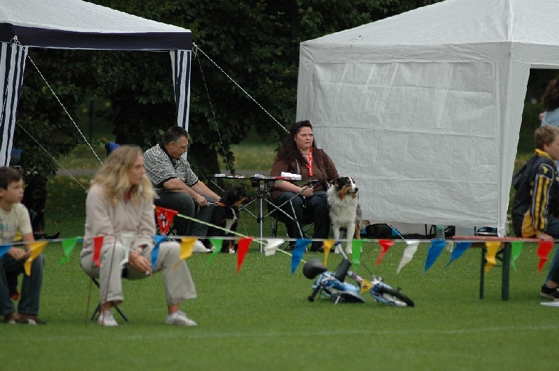 Image 833 of 855  -  210 kB