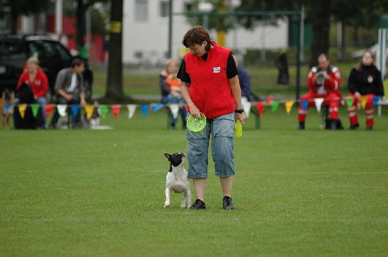 Image 834 of 855  -  199 kB