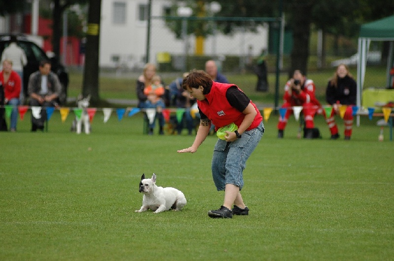 Image 835 of 855  -  197 kB