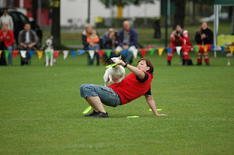 Image 836 of 855  -  206 kB