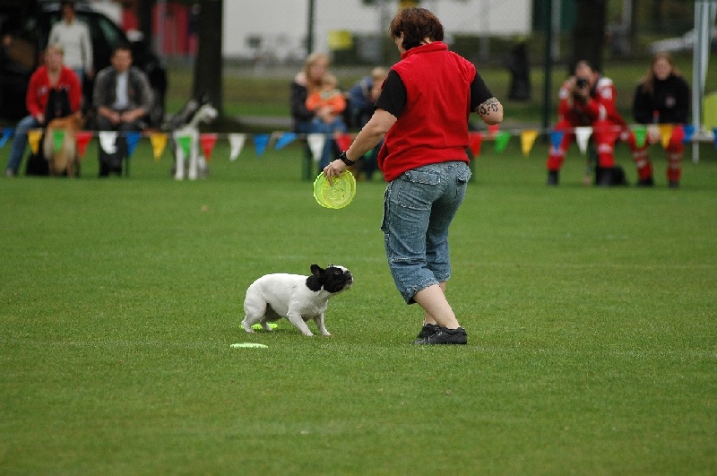 Image 837 of 855  -  204 kB