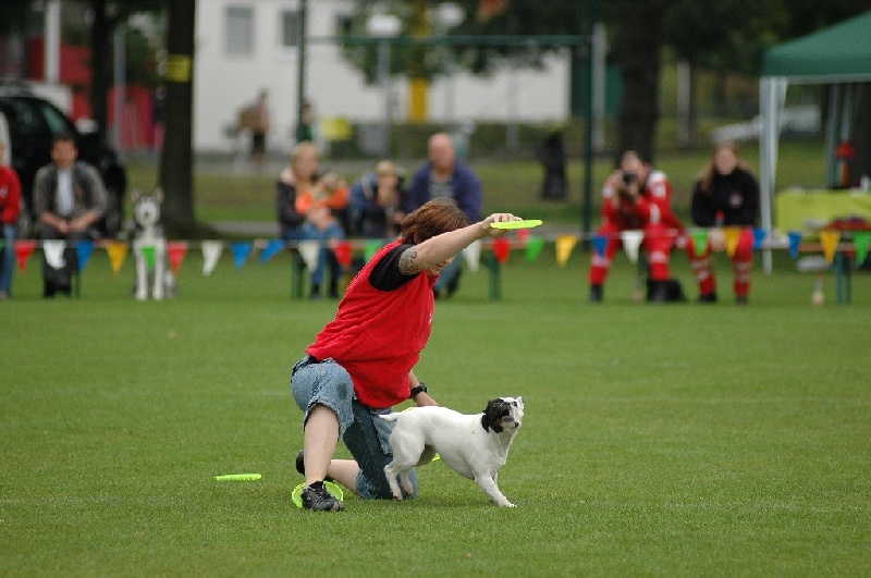 Image 838 of 855  -  194 kB