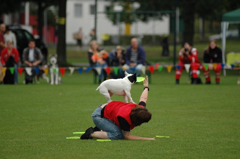 Image 839 of 855  -  189 kB