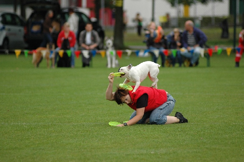 Image 840 of 855  -  194 kB