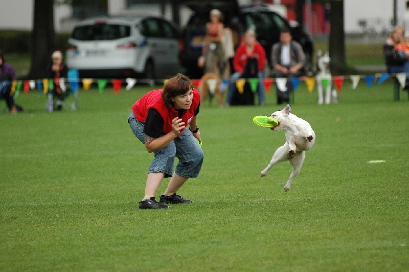 Image 841 of 855  -  200 kB