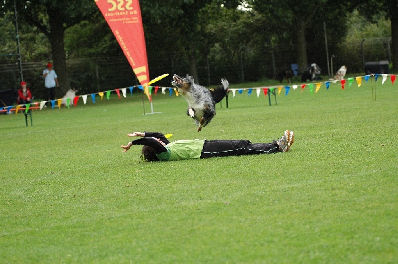 Image 842 of 855  -  231 kB