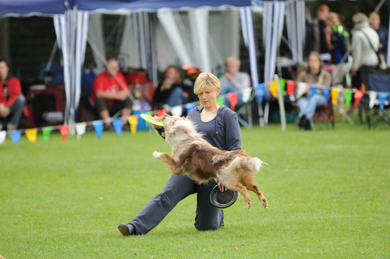 Image 43 of 600  -  188 kB