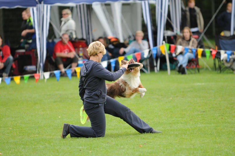Image 45 of 600  -  196 kB