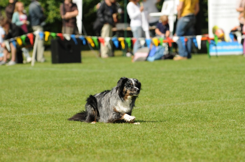 Image 81 of 600  -  196 kB