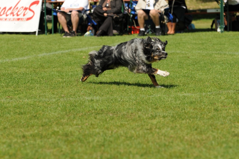 Image 85 of 600  -  215 kB