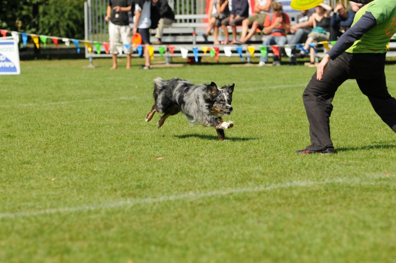 Image 101 of 600  -  212 kB