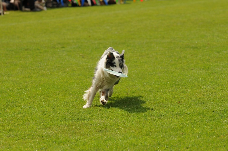 Image 181 of 600  -  212 kB