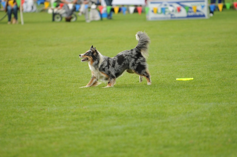 Image 274 of 600  -  167 kB