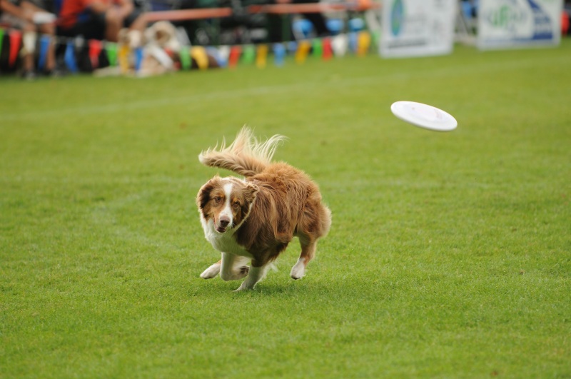 Image 310 of 600  -  173 kB
