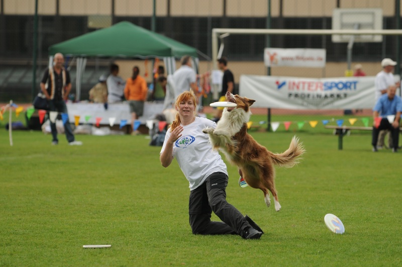Image 318 of 600  -  184 kB