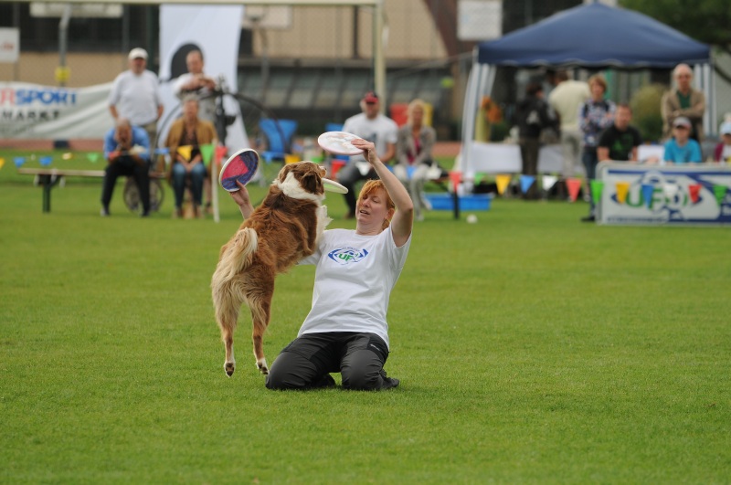 Image 324 of 600  -  185 kB