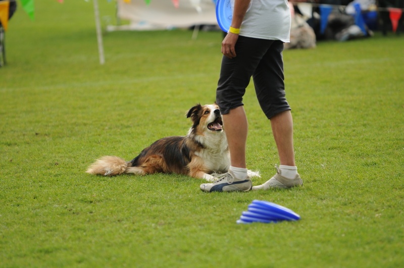Image 342 of 600  -  182 kB