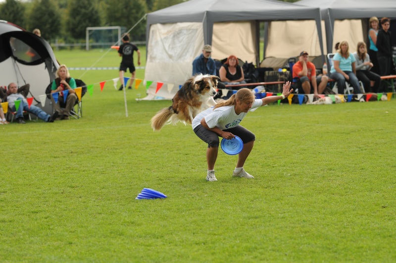 Image 343 of 600  -  214 kB