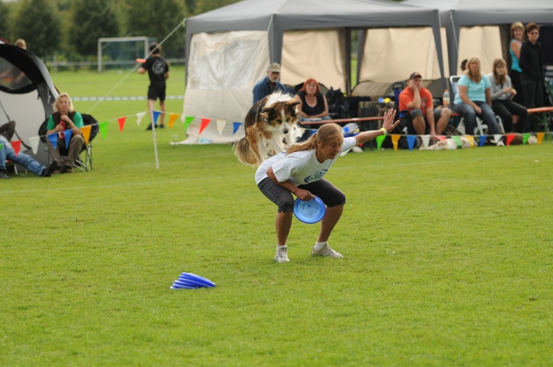 Image 344 of 600  -  212 kB