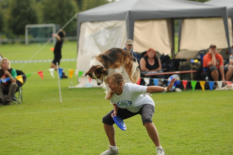 Image 353 of 600  -  185 kB