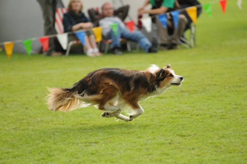 Image 357 of 600  -  170 kB