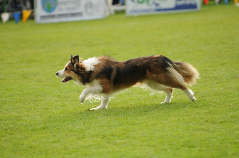 Image 362 of 600  -  165 kB