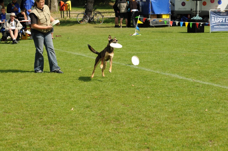 Image 414 of 600  -  275 kB