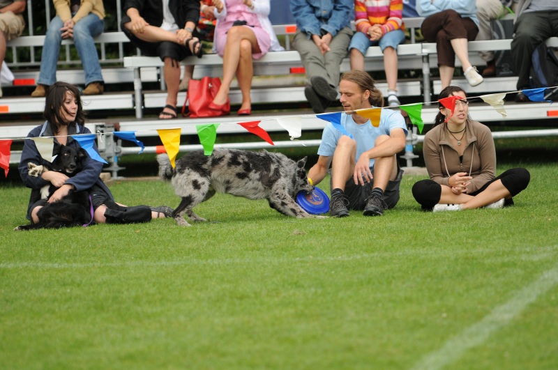 Image 434 of 600  -  213 kB