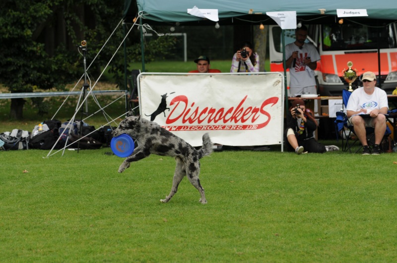 Image 440 of 600  -  219 kB