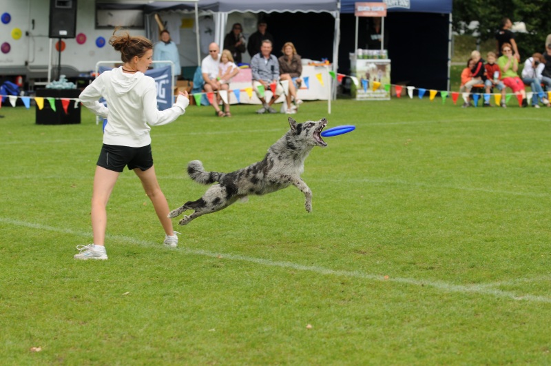 Image 444 of 600  -  211 kB