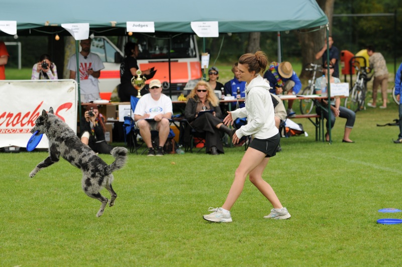 Image 450 of 600  -  225 kB