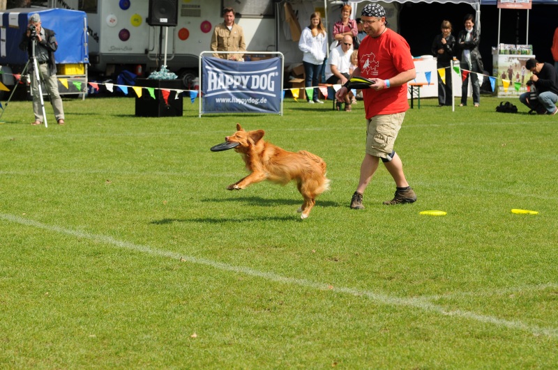 Image 475 of 600  -  271 kB
