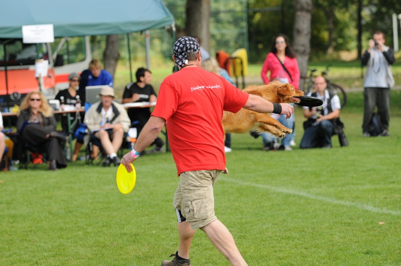 Image 484 of 600  -  202 kB