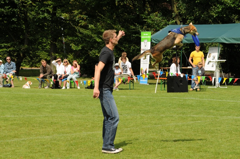 Image 513 of 600  -  279 kB