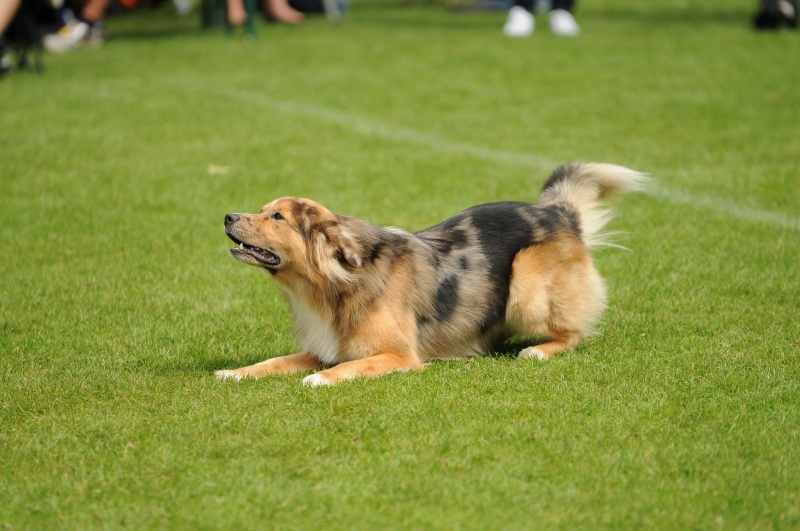 Image 529 of 600  -  195 kB