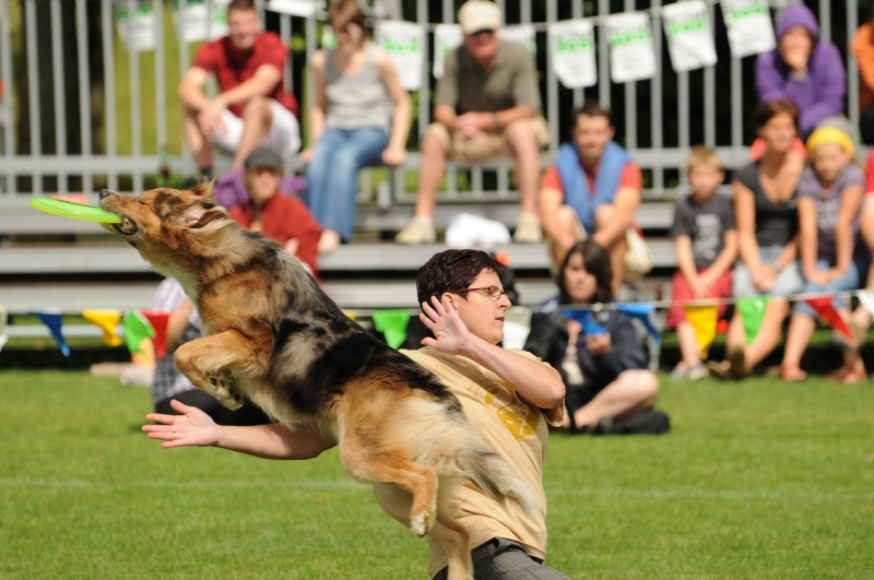 Image 540 of 600  -  193 kB