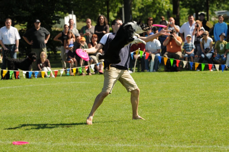 Image 556 of 600  -  249 kB