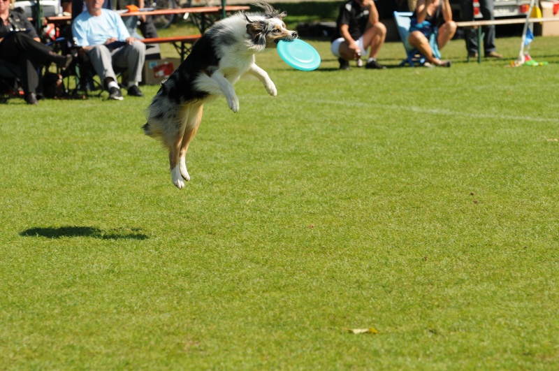 Image 572 of 600  -  235 kB