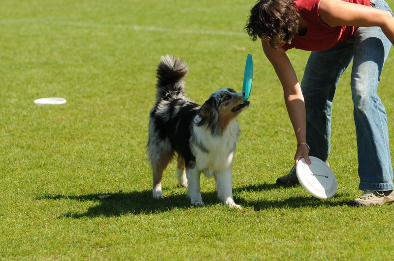 Image 575 of 600  -  236 kB