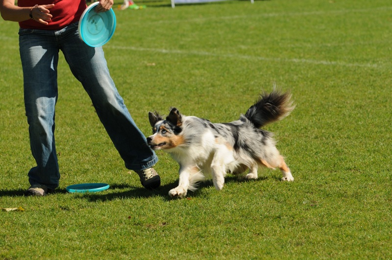 Image 576 of 600  -  246 kB