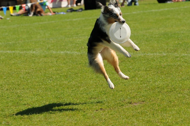 Image 582 of 600  -  230 kB