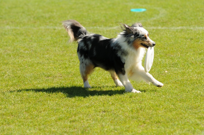 Image 584 of 600  -  226 kB