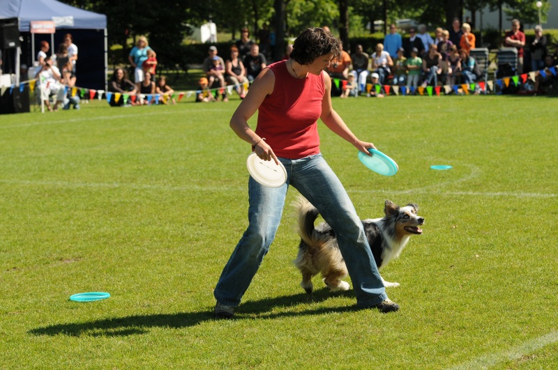 Image 586 of 600  -  253 kB