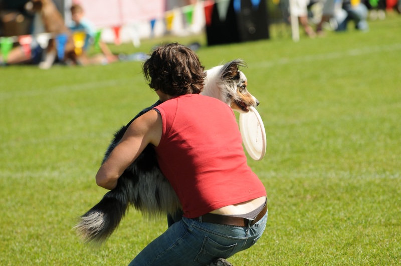Image 587 of 600  -  180 kB