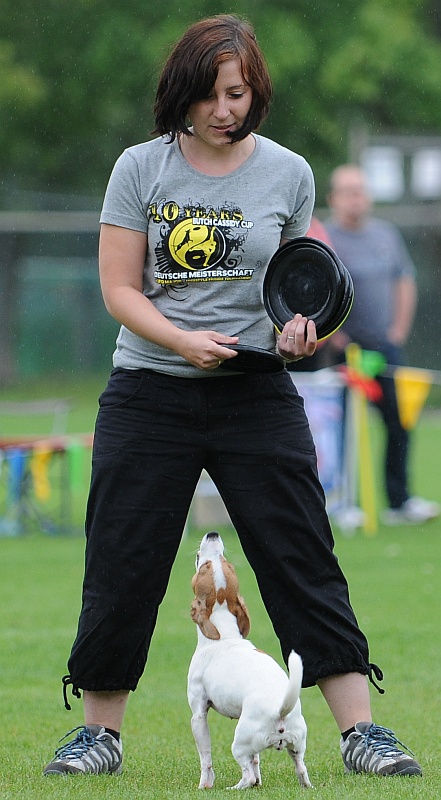 Image 37 of 484  -  203 kB