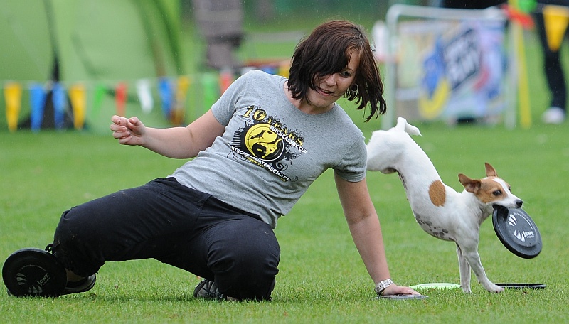 Image 40 of 484  -  207 kB