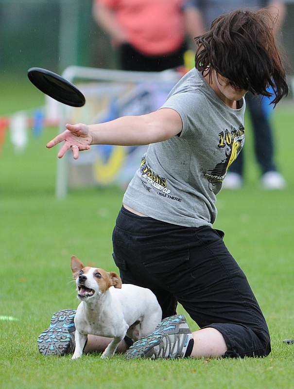 Image 42 of 484  -  242 kB
