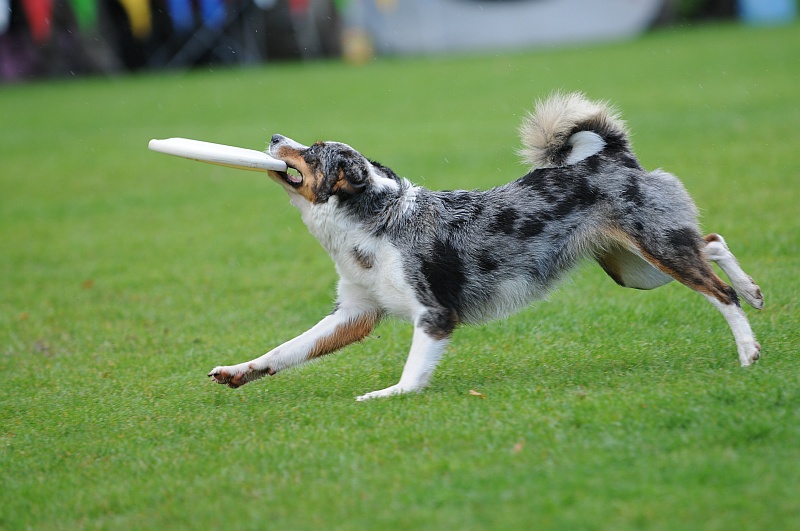 Image 72 of 484  -  202 kB