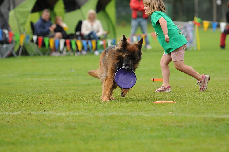 Image 115 of 484  -  209 kB